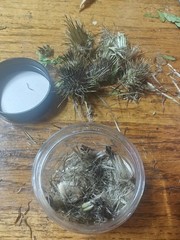 3 firestarter squares +herb/mosquito repellent infused cedar/cinnamon multiuse