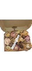 12 Quail Eggs In Cartons Decorative Fire Starters Camping Out Door Date Table