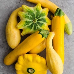 This is a Mix 50 Zucchini and Squash Mix Seeds 12 Varieties Non-GMO Delicious