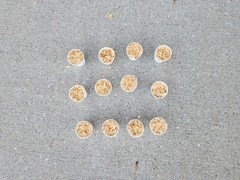 Fire Stsrter 12 count