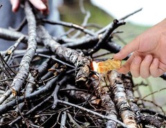 Fire Starter Pack 32 Pcs Compact Natural Wood Eco-Friendly Campfire Lighting