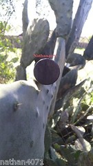 Bushcraft ferrocerium rod «Super Monster» ferro rod firesteel. 1″ dia. 5″ long