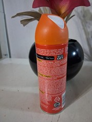 Off! Active Insect Repellent Spray Sweat Resistant, Mosquito Gnat Repelling