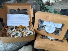 Fire Starters, Natural Fire Starters, Campfire, Outdoor All-Natural Fire Pit 4PK