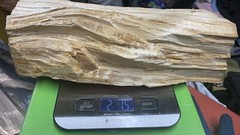 Pure Fatwood Log 2 lb 1.2 oz Sticky HardPine Heartwood Pitchwood Fire Lighters