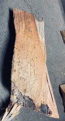 Fatwood 2 lbs Sticky Sticks Better Than The Rest HardPine Heartwood Pitchwood