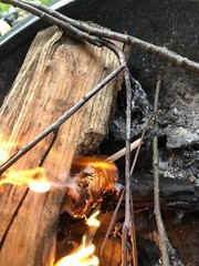 All Natural American Made Fire Starting Wool For Survival Or Everyday Use 🌲🔥