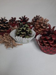 5pk Pinecone Fire Starter Scented Wax Bonfire Fireplace Unique Valentines Gift