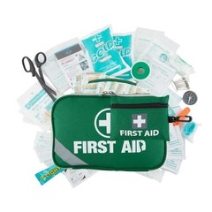 Large First Aid Kit 258pcs Emergency Medical Supplies ARTG 400472 Car Home SOS