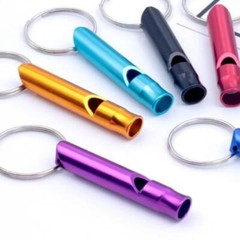 1Pcs Metal Multifunction Whistle Mini Emergency Hiking Survival HOT