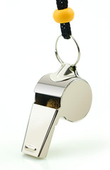 Stainless Steel Sports Whistles with Lanyard Loud Crisp Sound Bulk for Coaches