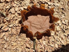 Bushcraft Tinder Fire kit Pouch Waxed Cotton Canvas Pouch Bag