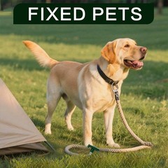 Nexboraque 10 Pack Tent Stakes – 9.75 Inch Galvanized Non-Rust Green 10Pcs