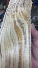 4 lbs+4.3oz -Resin Cores small & med. size -All Natural Pure Sticky Fatwood