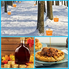 20 Sets Maple Syrup Tapping Kit Include 20 Taps 20 Pcs 3 Ft Tubing 20 Pcs 5l Bag