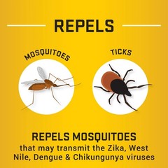 (2 pack) Repel Insect Repellent Sportsmen Formula 25% DEET, Bonus Aerosol, 8.125