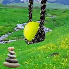 Paracord 63 Inch Handcrafted Black&White Braided Roman Gladius Slingshot