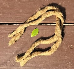 Oakum & cattail fluff – great fire tinder and nesting – bow drill, char cloth