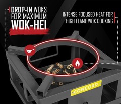 THE WOK BLOCK 12″ Single Propane Outdoor Burner with Built in Wok Ring. 45,00…