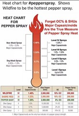 POLICE Pepper Spray WOMEN STREAM 4 oz HOME Self Defense Weapon Tool WILDFIRE 4oz