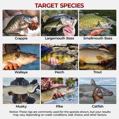 MadBite by KastKing 400-Pieces Freshwater Terminal Tackle Kit, Endorsed by…