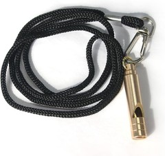 Brass Survival Whistle, 125 dB Loud Emergency Whistle with 1 Pack, Yellow