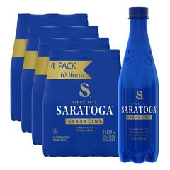 Saratoga Sparkling Water Bottles, 24-Pack – Carbonated Spring Bottled Water –…