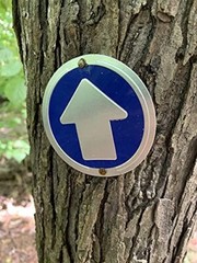 Trail Markers,Reflective Trail Marker for Hunting Hiking Camping & More, Pack-24