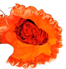 SOL ‘Survive Outdoors Longer’ Orange Emergency Survival Bivvy Sack