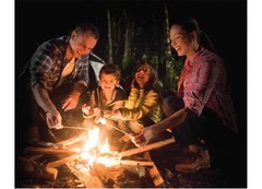 Pull Start Fire 5-Second Fire Starter Rainproof Windproof (12-Pack)