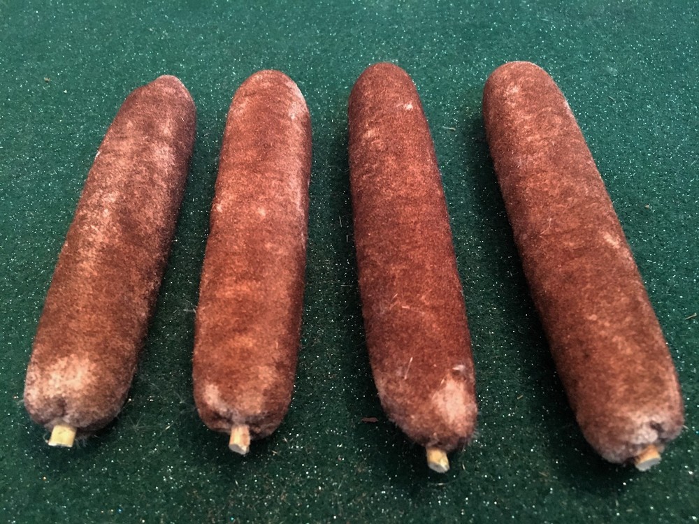 Cattail Fire Starter, Bushcraft, Outdoor Survival
