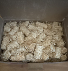 150 pieces Fire Starters for Campfires NEW