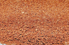 Hickory Wood Shavings Clean Cut 1lb For Fire Start, Crafts or Smoking SHIPs FREE