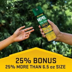 (2 pack) Repel Insect Repellent Sportsmen Formula 25% DEET, Bonus Aerosol, 8.125