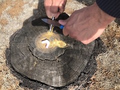 Southwest Survival 🔥 Fire Starter Kit, Weatherproof , Camping, Outdoor Survival