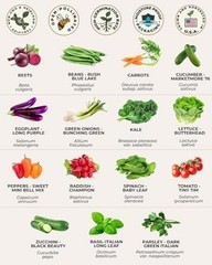 Tactiko Vegetable Seed Kit | 15 Varieties for Small Urban Garden | Non-GMO