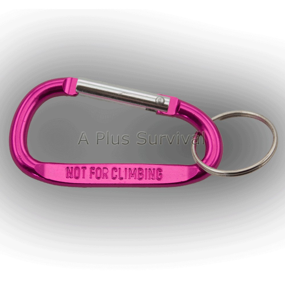 2 Pack Medium Carabiner Keychain for Backpack Belt Camping Survival Kit – Pink