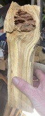 Premium Fatwood Log 2 lb 10.9oz Sticky HardPine Heartwood Pitchwood Fire