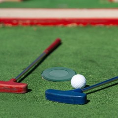 Cup Cover Hole Putting Green Practice Training Aid for Home Office Traveling New