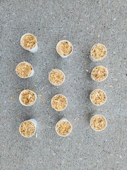 Fire Stsrter 12 count