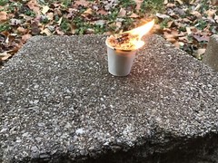 Homemade Pine Chips Fire starters 2 Oz. Lot Of 10