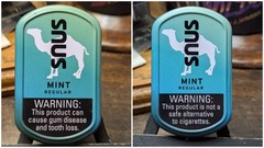 EMPTY Camel Mint Snus Tin Set (2) w/ Phrases 3″ Crafts/Survival/Fishing Storage