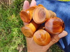 Bushcraft ferro rod striker with Pacific Yew wood handle | firesteel scraper