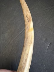 Custom Antler Handle Ferro Rod Fire Starter Bushcraft Survival Too #1