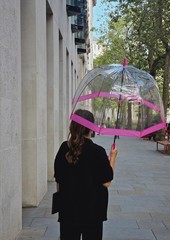 Fulton Bird Cage Umbrella, Pink Rim, Pink Rim, Walking Length, Single