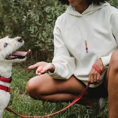 Stainless Steel Whistle Outdoor Dog Training Whistle Portable Bird Training