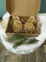 Sawdust Wax Firestarters | 6 pack Handmade Fire Starters for Camping UNSCENTED