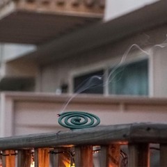 Pic Mosquito Repellent Coils (10 Coils), Package May Vary