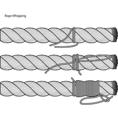 1/8 In. X 50 Ft. Black Paracord Rope