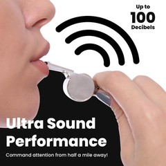 Runtasty Essential Metal Safety Whistle 2-Pack with Adjustable & Light Gray